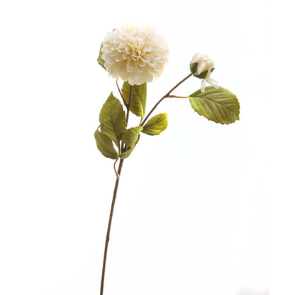White Dahlia Stem image 2