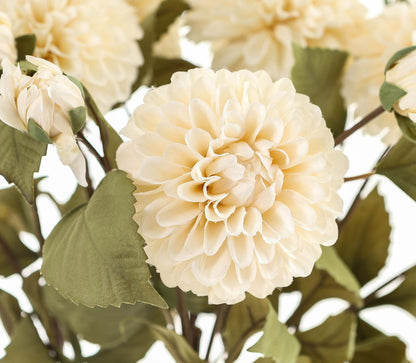 White Dahlia Stem image 3