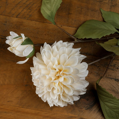 White Dahlia Stem image 1