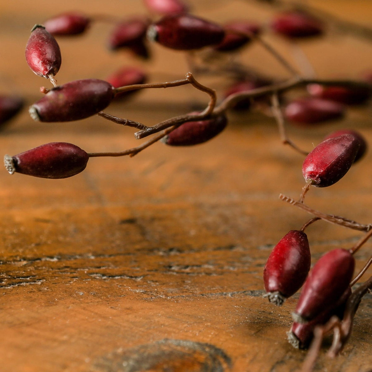 Burgundy Rosehip Stem image 2