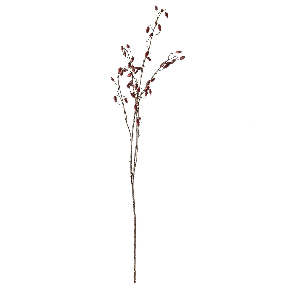 Burgundy Rosehip Stem image 3