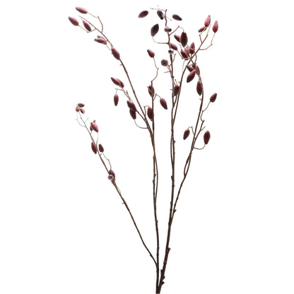 Burgundy Rosehip Stem image 4
