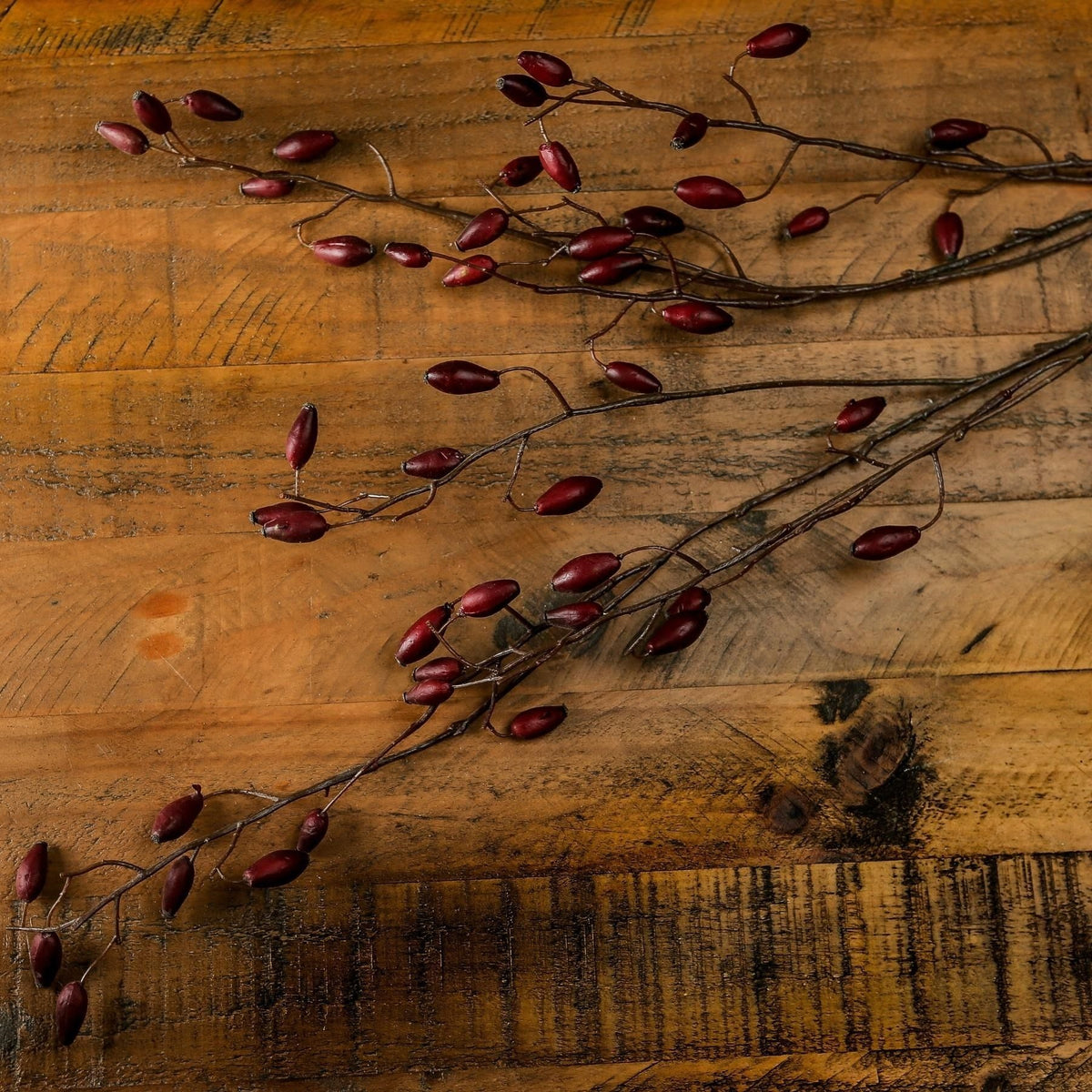 Burgundy Rosehip Stem image 1