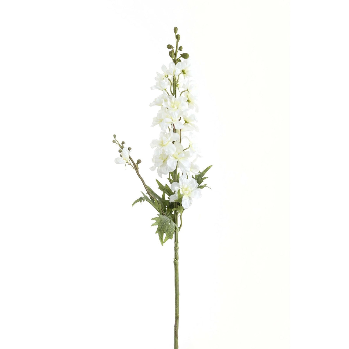Tall White Delphinium Stem image 2