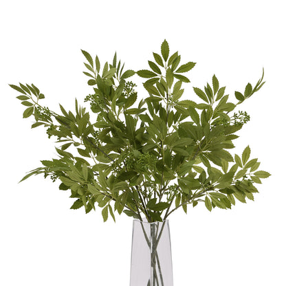 Long Fennel Stem image 3