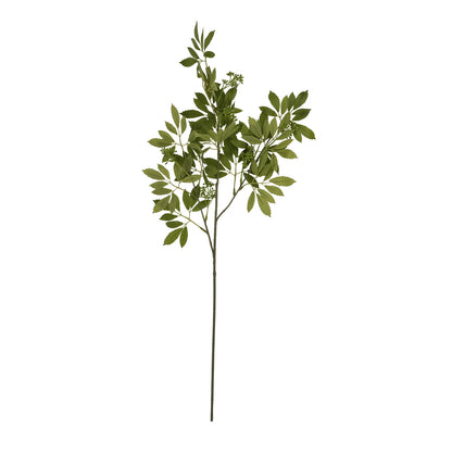 Long Fennel Stem image 4