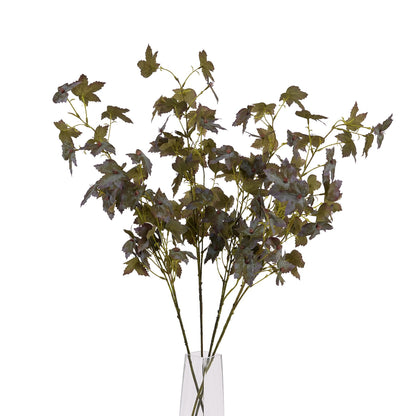 Variegated Maple Leaf image 5