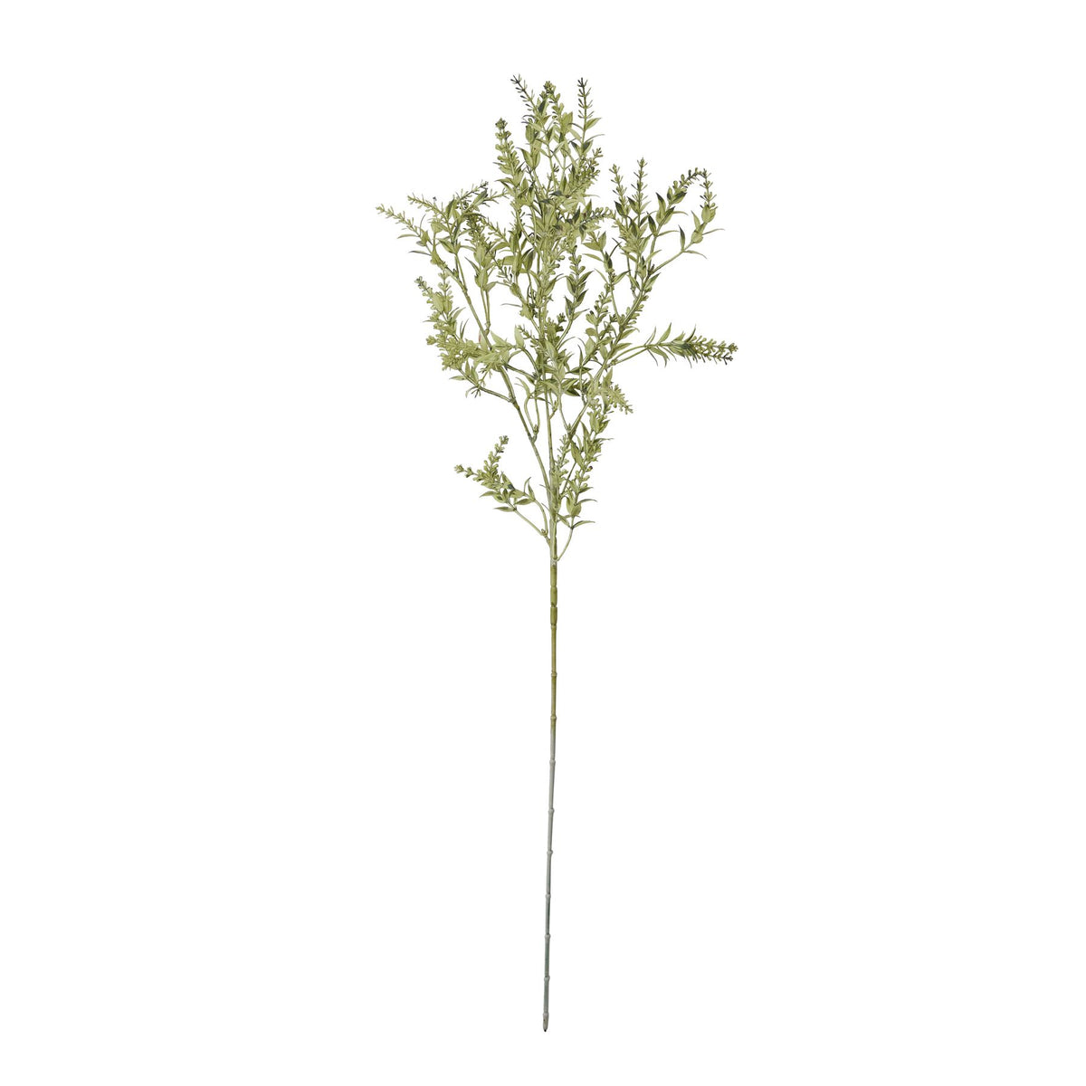Broom Stem image 4