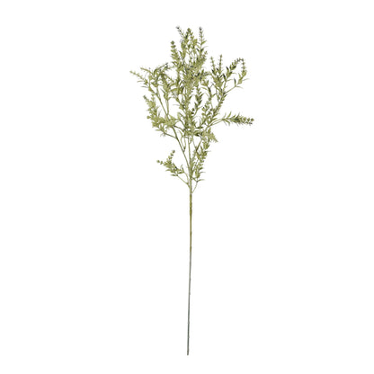 Broom Stem image 4