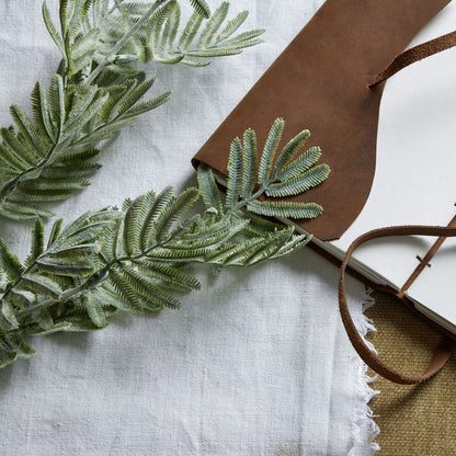 Silver Wattle Leaf image 2