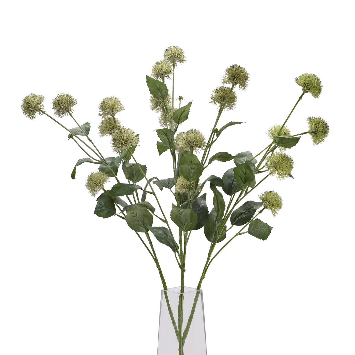 Thistle Globe Stem image 3