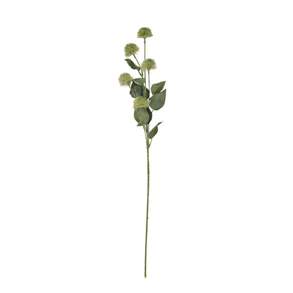 Thistle Globe Stem image 4