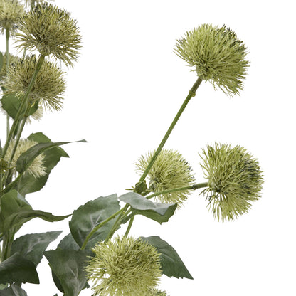 Thistle Globe Stem image 5