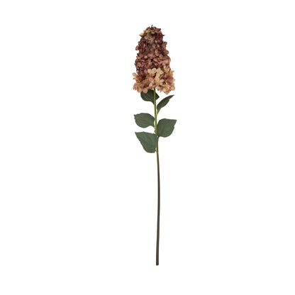 Burgundy Spear Hydrangea image 4