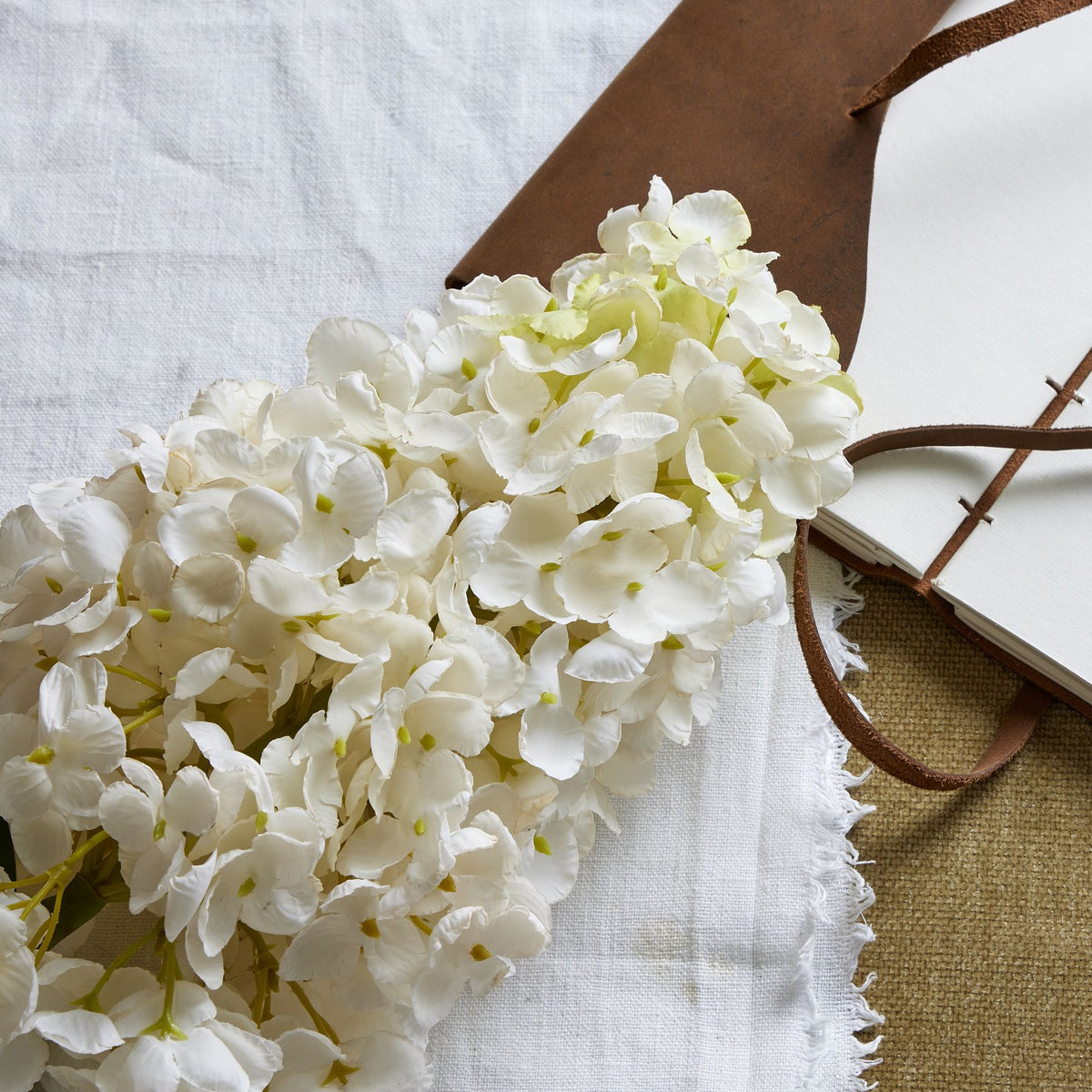 White Spear Hydrangea image 2