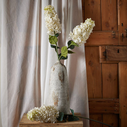 White Spear Hydrangea image 3