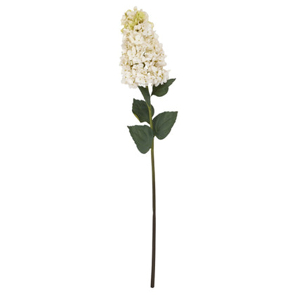 White Spear Hydrangea image 4