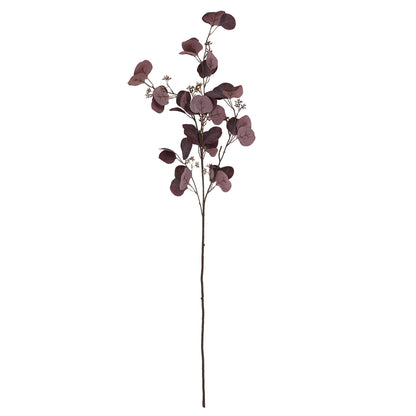 Burgundy Berried Eucalyptus image 4