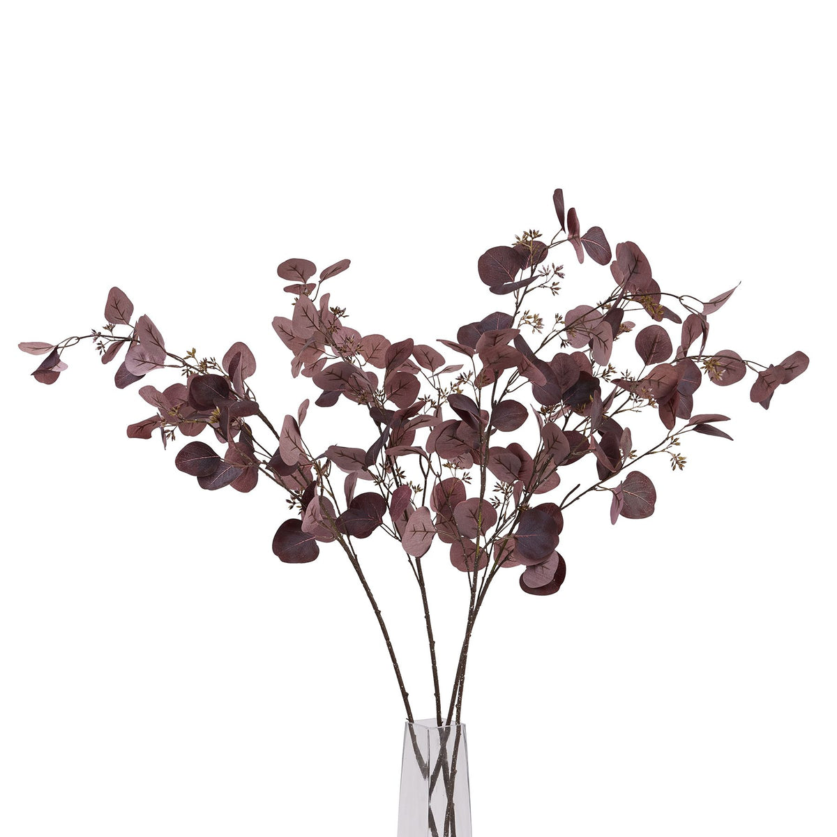 Burgundy Berried Eucalyptus image 5