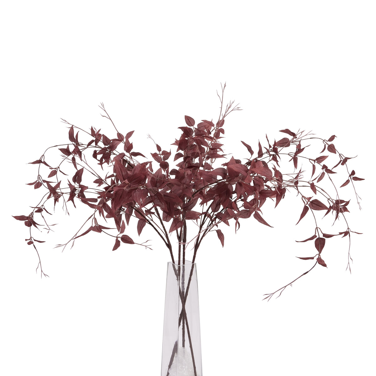Ornamental Burgundy Leaf image 3