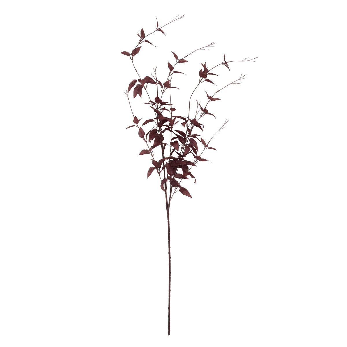 Ornamental Burgundy Leaf image 4