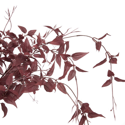 Ornamental Burgundy Leaf image 5