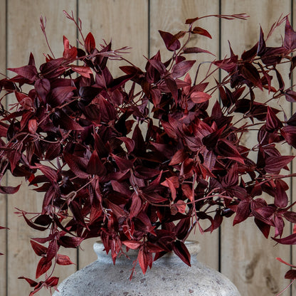 Ornamental Burgundy Leaf image 1