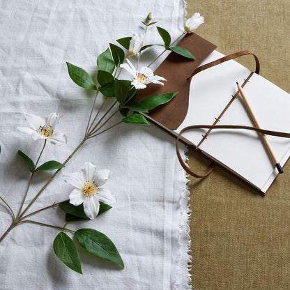 White Florida Clematis image 1