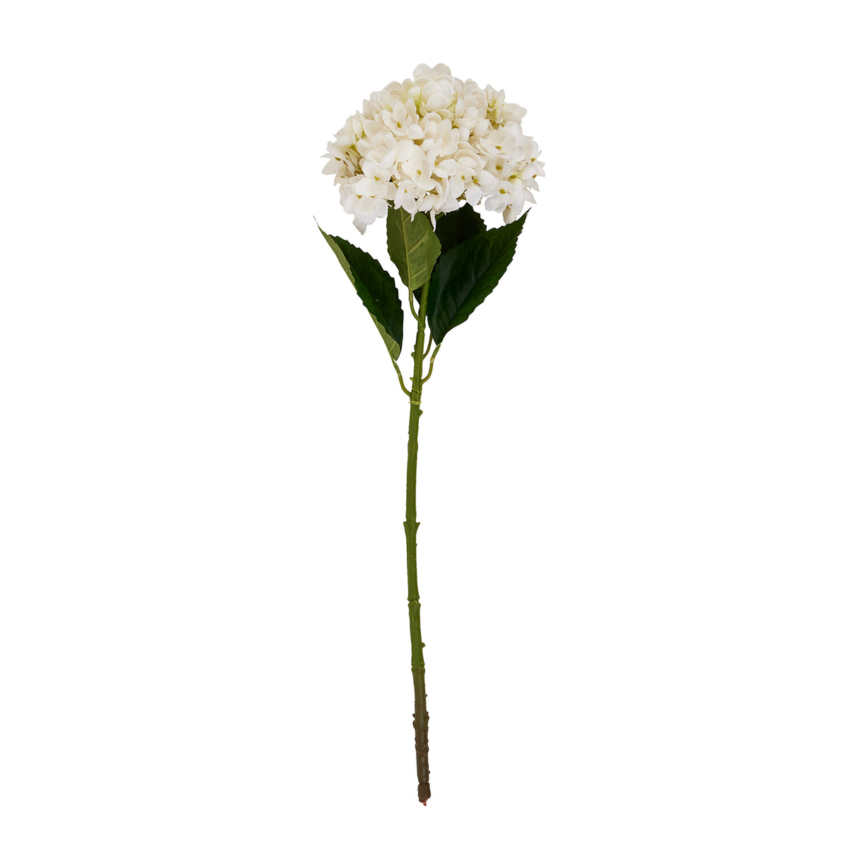 White Hydrangea Stem image 2