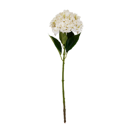 White Hydrangea Stem image 2