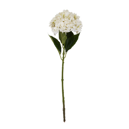 White Hydrangea Stem image 4