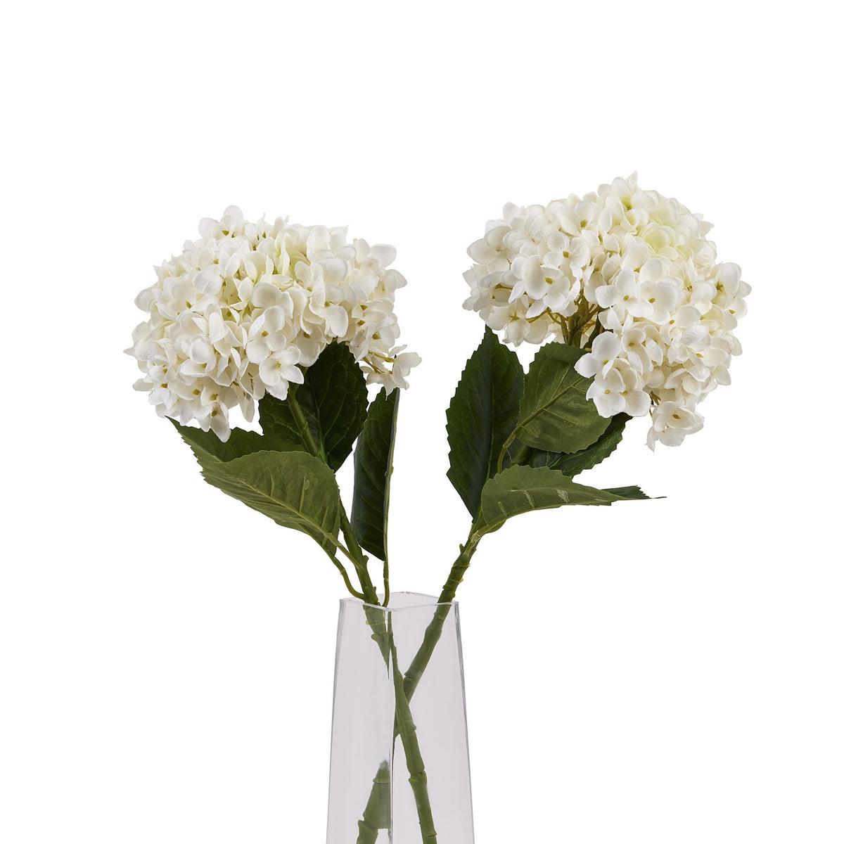 White Hydrangea Stem image 5