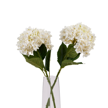 White Hydrangea Stem image 1