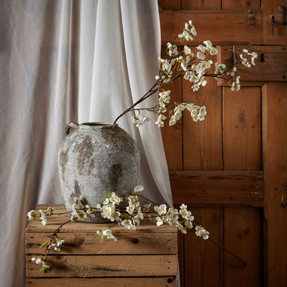 White Japanese Blossom image 3