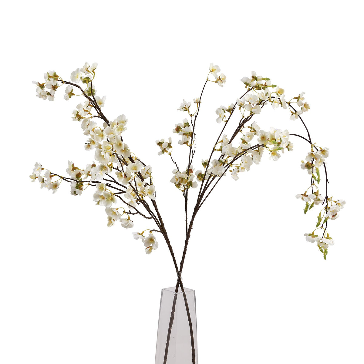 White Japanese Blossom image 5