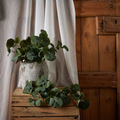 Short Eucalyptus Bunch image 3