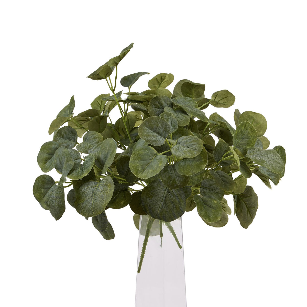 Short Eucalyptus Bunch image 5