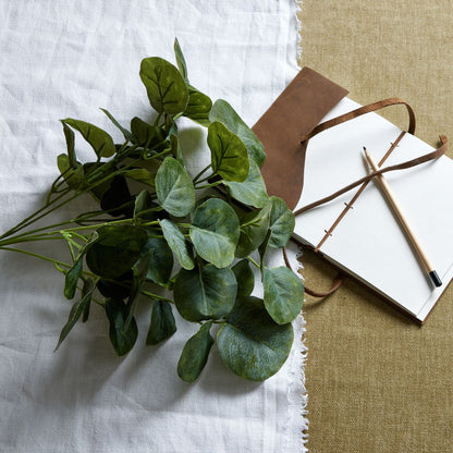 Short Eucalyptus Bunch image 1