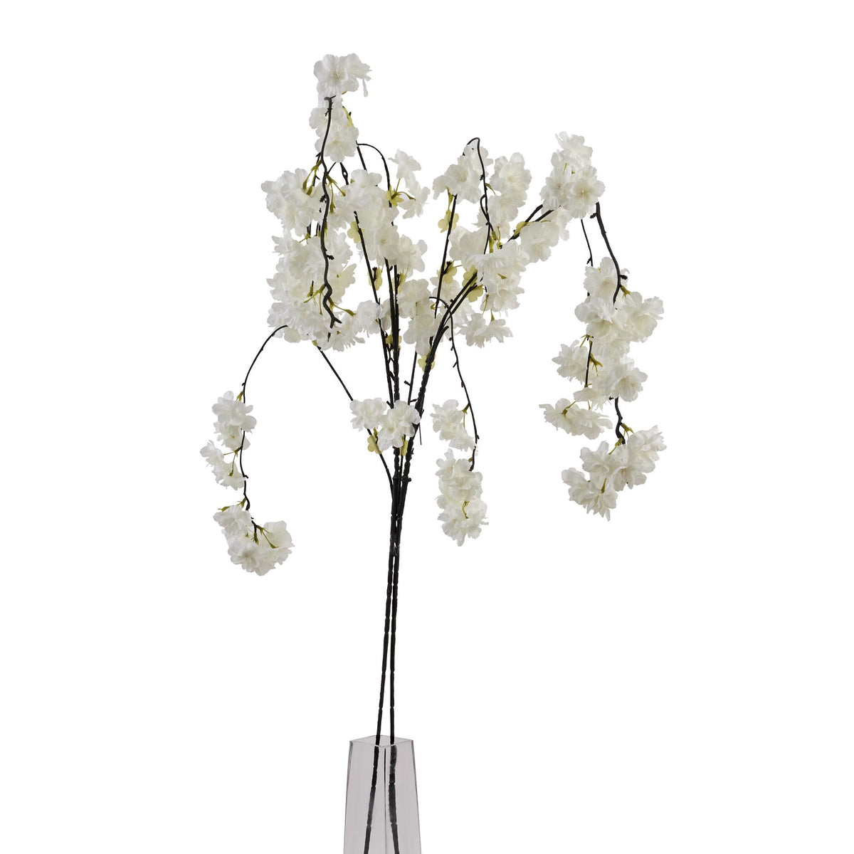 Large White Cherry Blossom Stem image 1