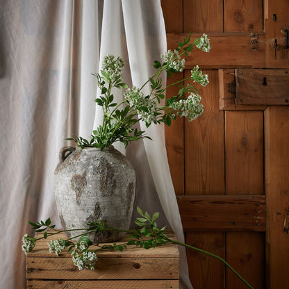 Faux White Cow Parsley Ammi image 3