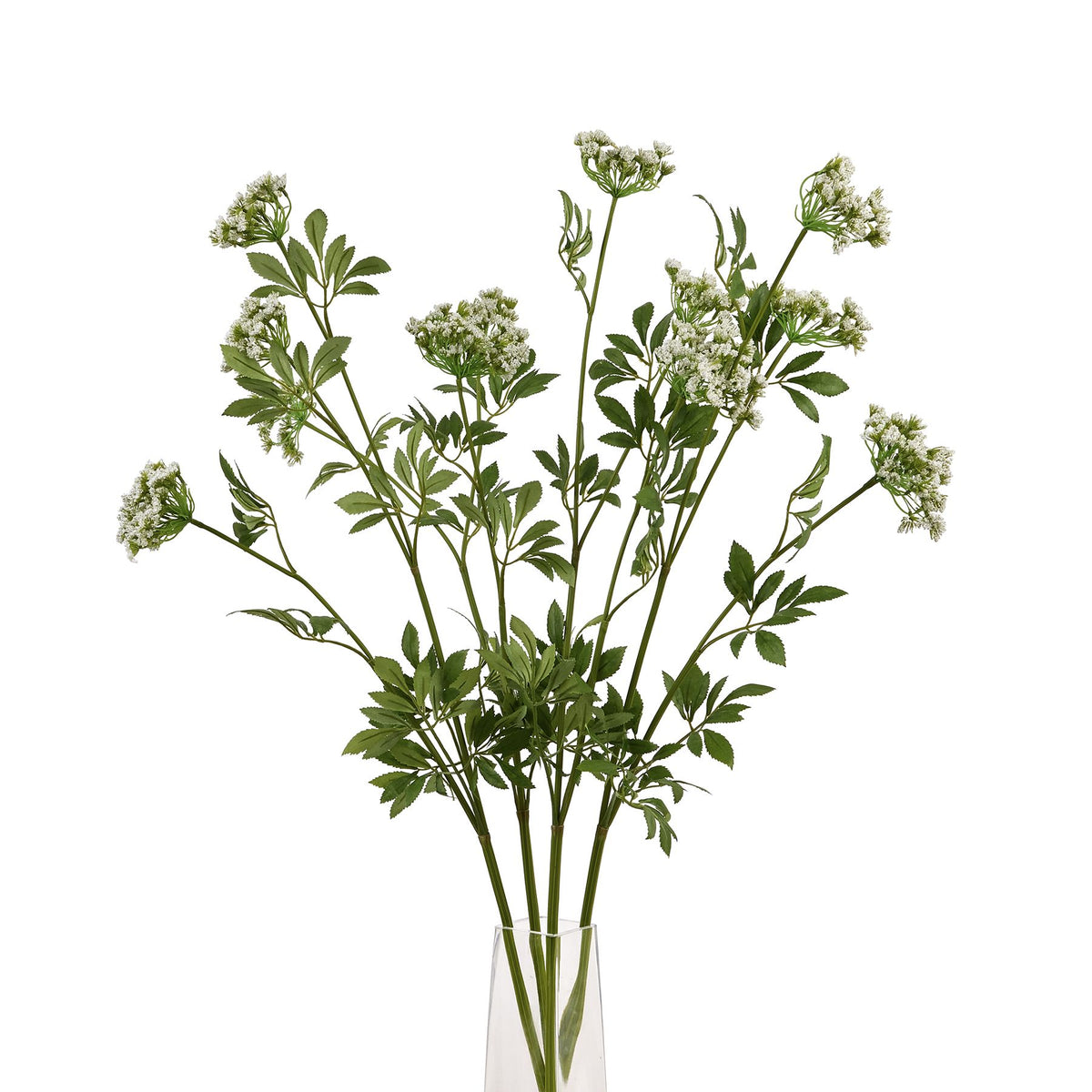 Faux White Cow Parsley Ammi image 5