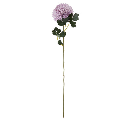 Light Purple Chrysanthemum image 3