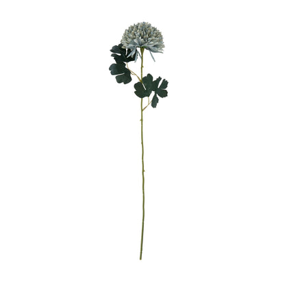 Pale Green Blue Chrysanthemum image 3