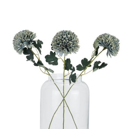 Pale Green Blue Chrysanthemum image 4