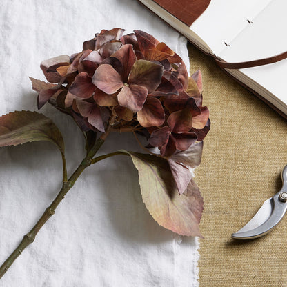 Mixed Autumn Browns Single Hydrangea Stem image 2