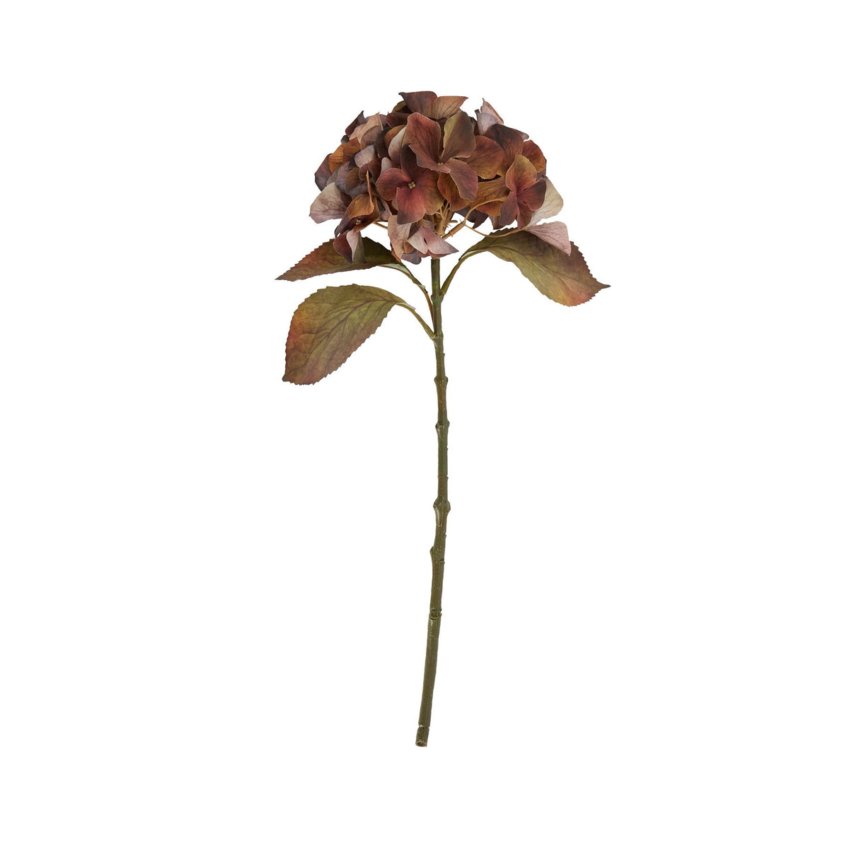 Mixed Autumn Browns Single Hydrangea Stem image 3
