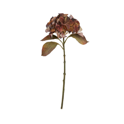 Mixed Autumn Browns Single Hydrangea Stem image 3