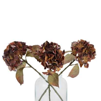 Mixed Autumn Browns Single Hydrangea Stem image 4