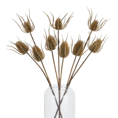 Large Brown Triple Teasle Stem image 4