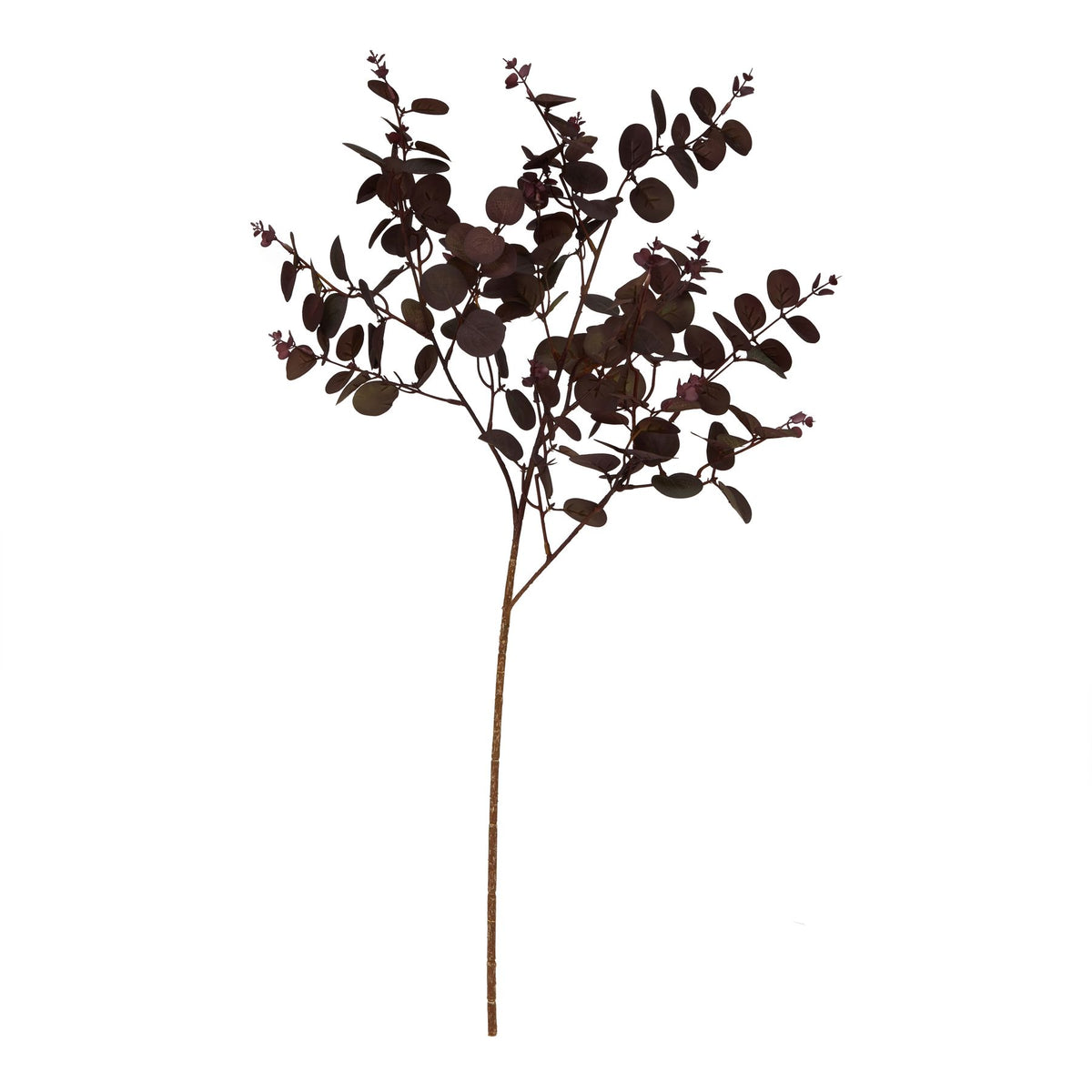 Burgundy Eucalyptus Bunch image 2